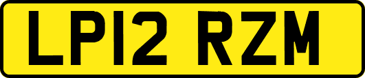 LP12RZM
