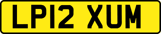 LP12XUM