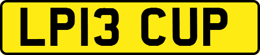 LP13CUP