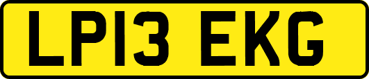 LP13EKG