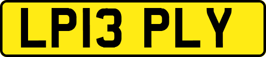 LP13PLY