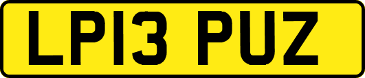 LP13PUZ