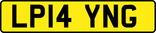 LP14YNG