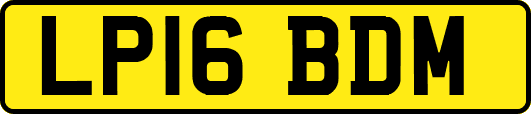 LP16BDM