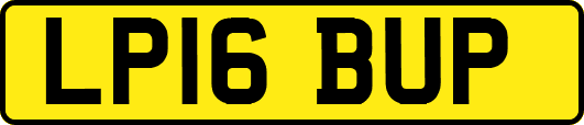 LP16BUP