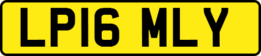 LP16MLY