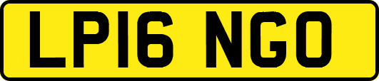 LP16NGO