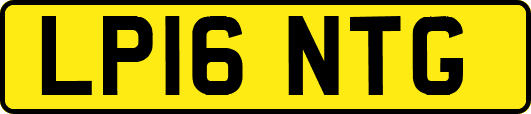 LP16NTG