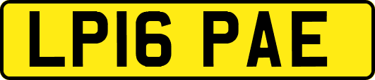 LP16PAE