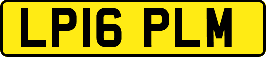 LP16PLM