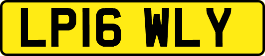 LP16WLY