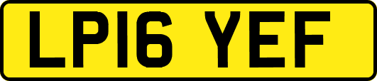 LP16YEF