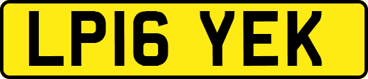 LP16YEK