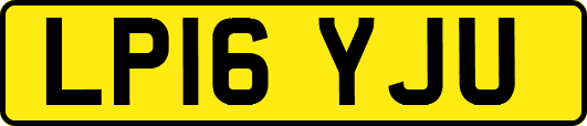 LP16YJU