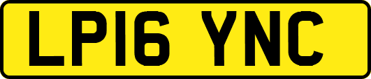 LP16YNC