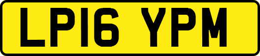 LP16YPM