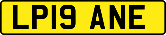 LP19ANE