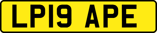 LP19APE