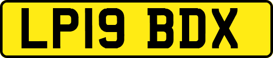 LP19BDX