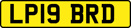 LP19BRD
