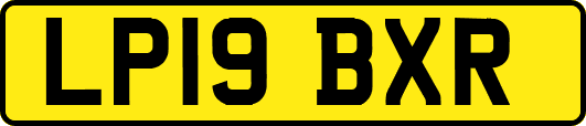 LP19BXR