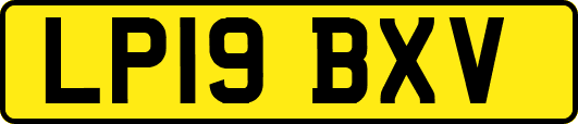 LP19BXV