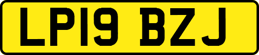 LP19BZJ