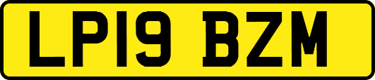 LP19BZM