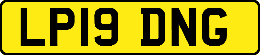 LP19DNG