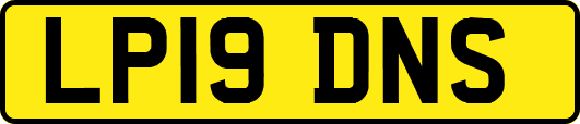 LP19DNS