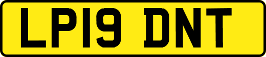 LP19DNT