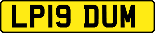 LP19DUM