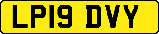 LP19DVY
