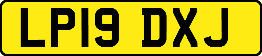 LP19DXJ
