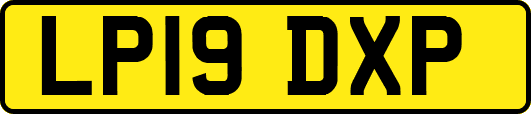 LP19DXP