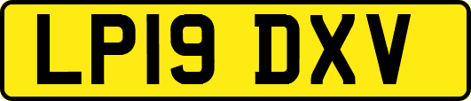 LP19DXV