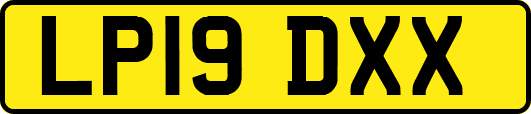 LP19DXX