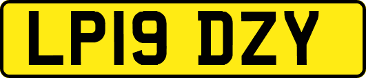 LP19DZY