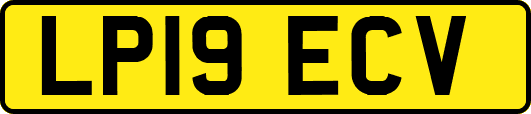 LP19ECV