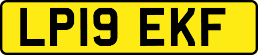 LP19EKF
