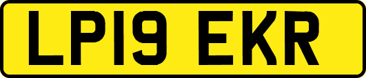LP19EKR