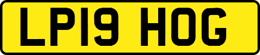 LP19HOG
