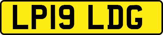 LP19LDG