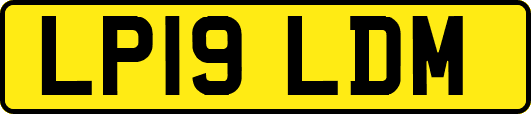 LP19LDM