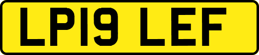 LP19LEF