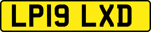 LP19LXD
