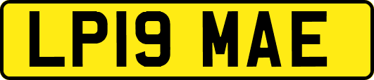 LP19MAE