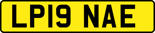 LP19NAE