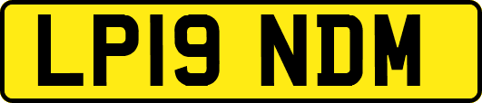 LP19NDM