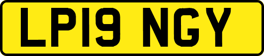 LP19NGY